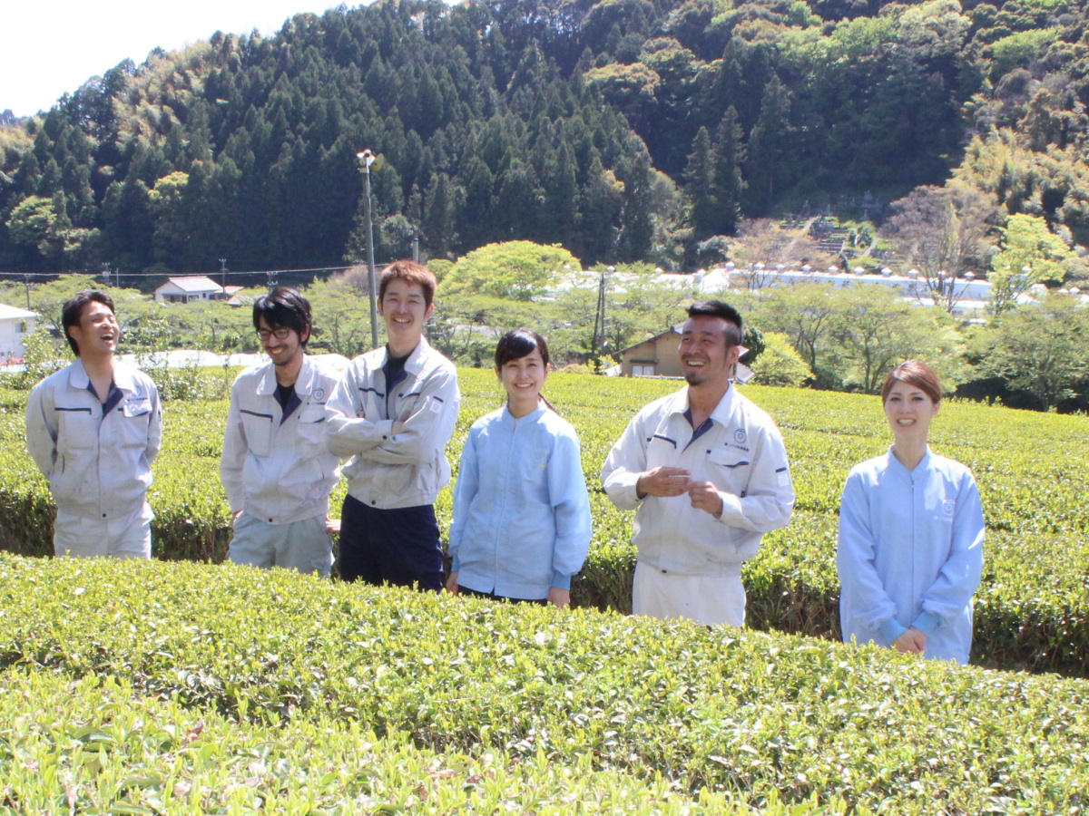 Tea farm in Fujieda